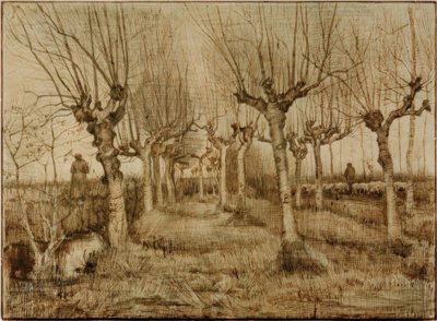 Pollard Willows by Vincent van Gogh